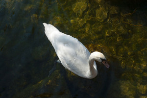 lago_di_iseo_00001